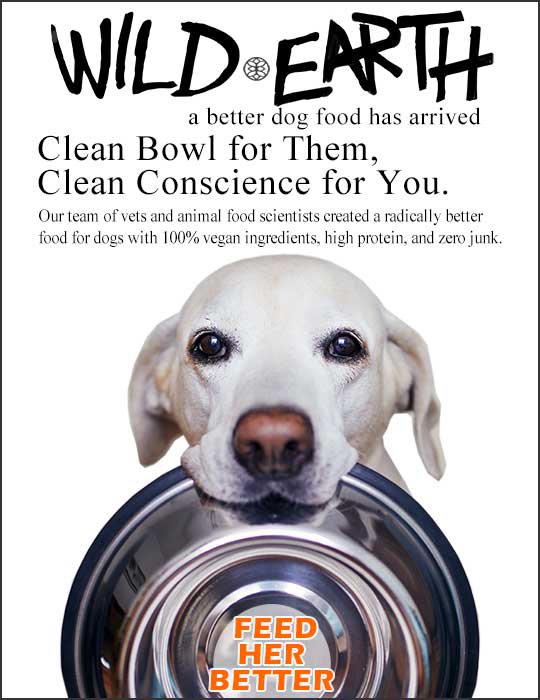 WildEarth a better dog food has arrived. Clean Bowl for Them, Clean Conscience for You. Our team of vets and animal food scientists created a radically better  food for dogs with 100% vegan ingredients, high protein, and zero junk. click to FEED HER BETTER  