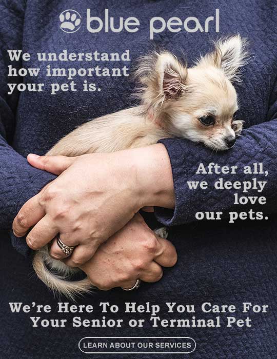 blue pearl; We understand how important your pet is. After all, we deeply love our pets. We're here to help you care for your senior or terminal Pet. click to learn about our services.