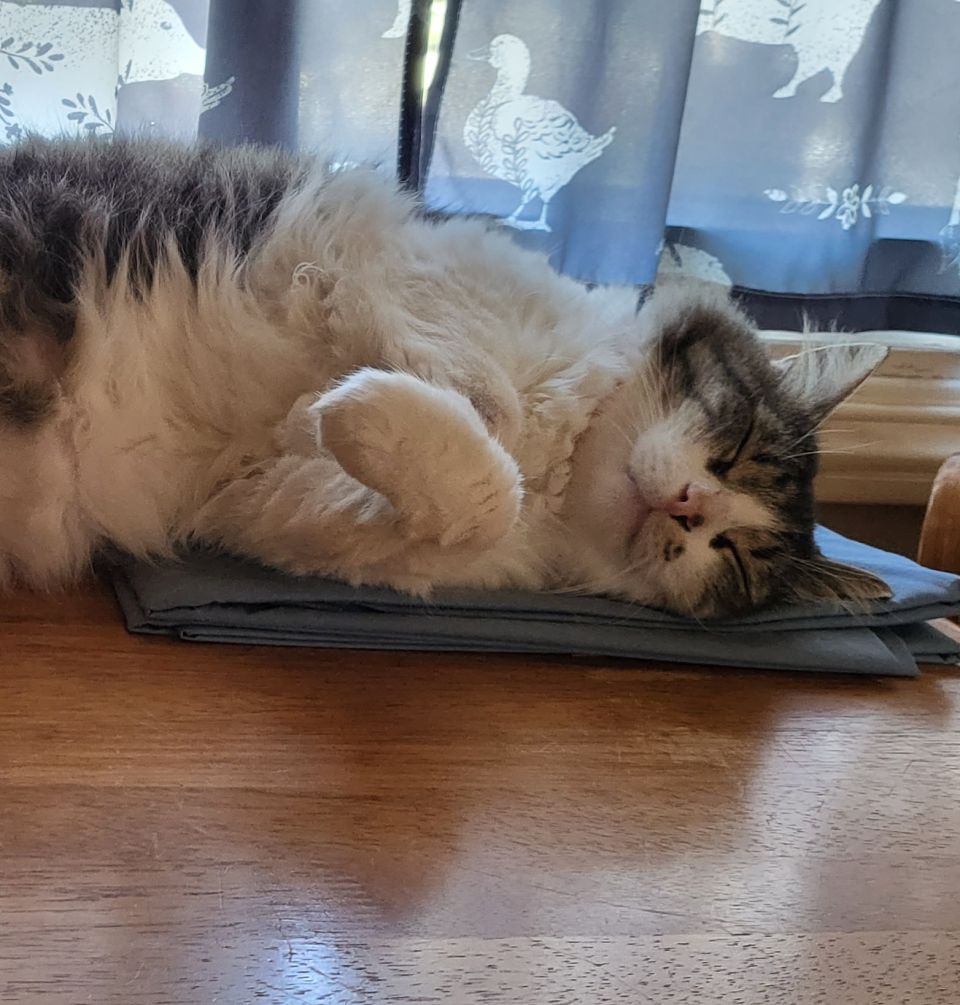 🥰🥰