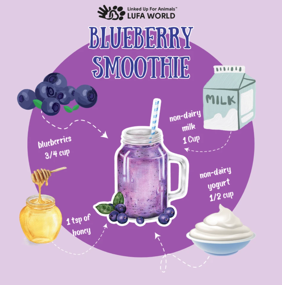 🫐 Shake up your breakfast routine with this vibrant and refreshing Blueberry Smoothie recipe! Packed with antioxidants and bursting with flavor, it's the perfect way to start your week on a deliciously healthy note. Get ready to blend your way to breakfast bliss! ☀️ #healthyliving #healthyrecipes #breakfast #breakfastideas #breakfastrecipes #smoothies #smoothieideas #smoothierecipes