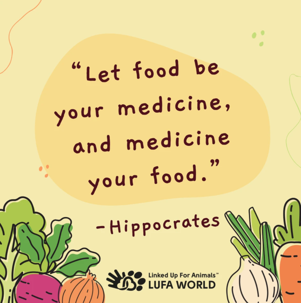 "Let food be your medicine, and medicine your food" - Hippocrates knew the power of nutrition in our lives! 🌿✨ Embrace the idea of #MeatlessMondays and explore the incredible benefits of plant-based meals. Your body and the planet will thank you! 🌱💚 #FoodAsMedicine #PlantPower #Veganism #Vegetarianism #Vegan #HealthyLiving