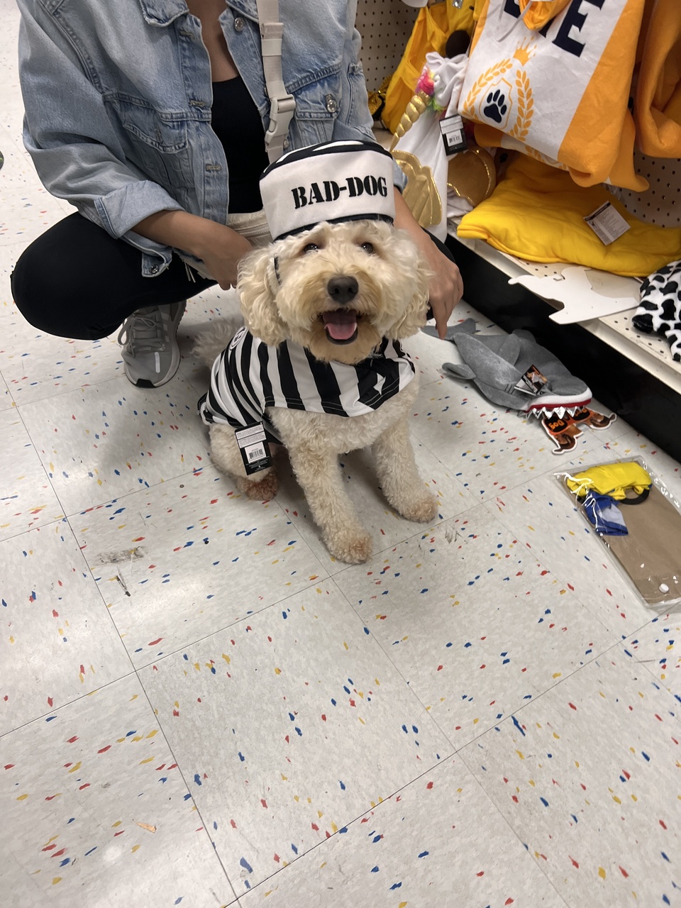 This inmate is so ready for Halloween. Where is my prize!?