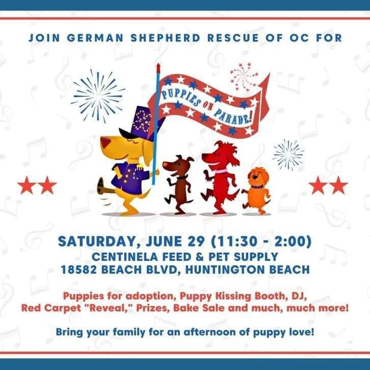 German Shepherd Puppy Parade and adoption event. This Saturday, June 29th, starting at 11:30 at Centinela Feed and Pet Supply on Beach Blvd, Huntington.Beach, CA More details:https://www.gsroc.org/