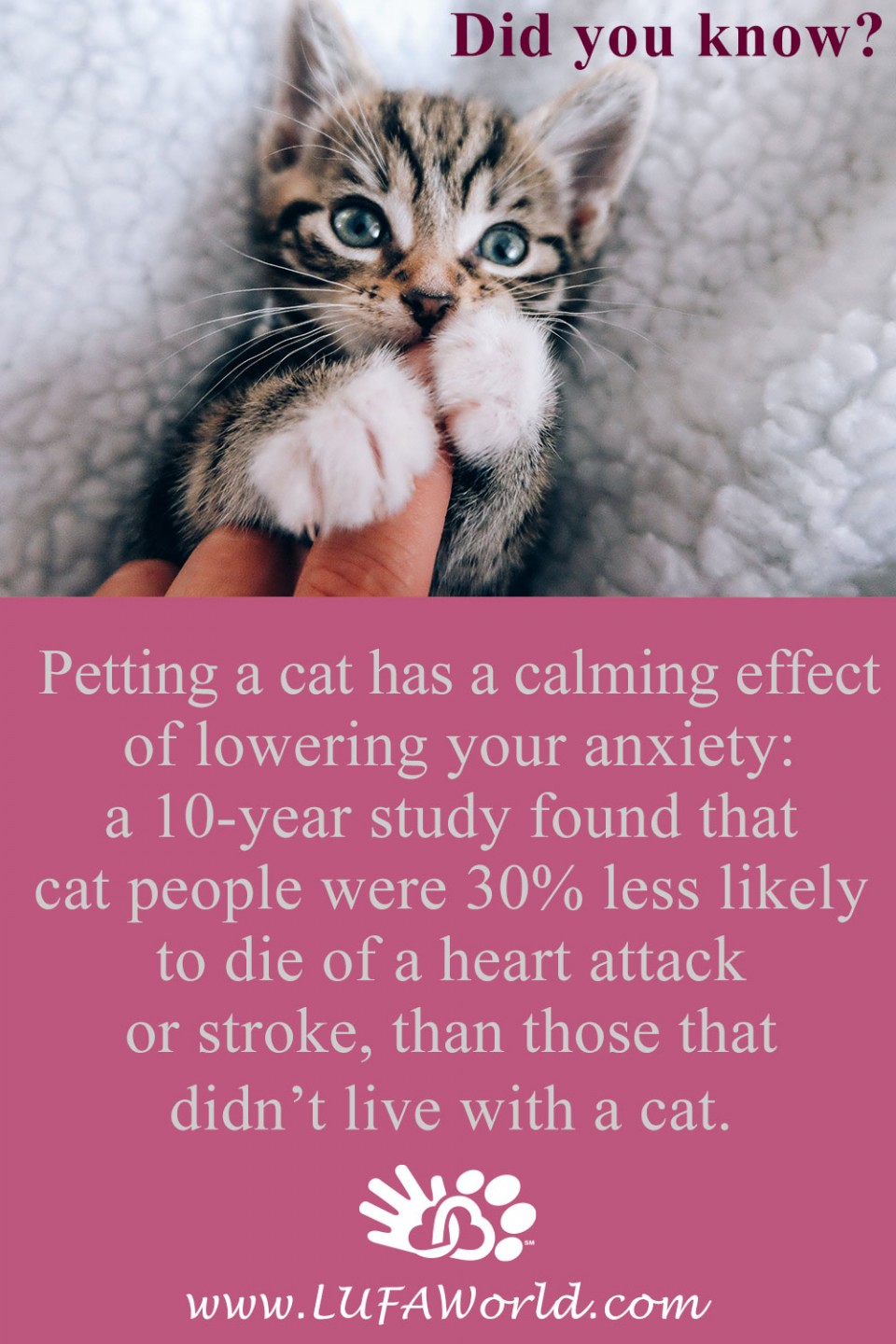 #CatsRule #CatLover  #DidYouKnow  #FunFact #TheMoreYouKnow