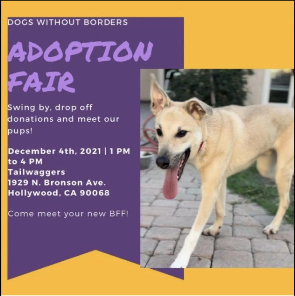 Adoption event coming up this weekend!