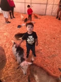 Hey here at the Pumpkin patch petting zoo with big bro and sis better known as the BOO CREW with goats