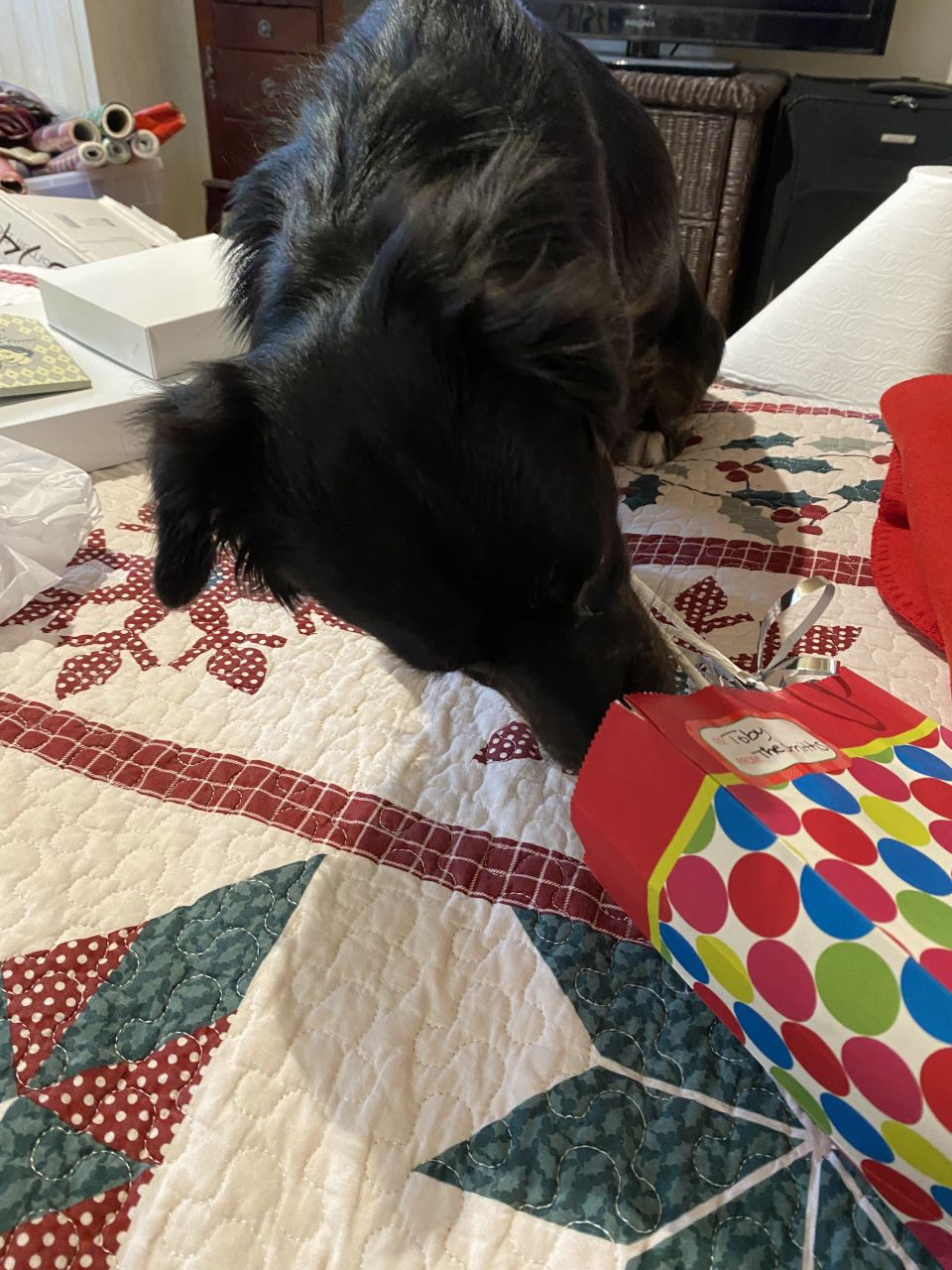 Better late than never, I am posting pics of Toby enjoying opening his Christmas presents!