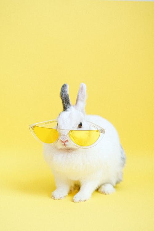 I'm too sexy for my glasses!
