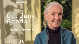 Dr. Jane Goodall Teaches Conservation | Official Trailer | MasterClass