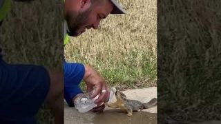 Man give Squirrel water
