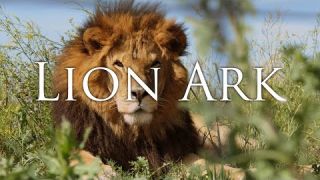 LION ARK Trailer