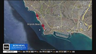 Two Orange County beaches closed after seal attack